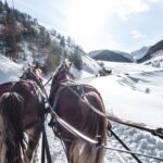 sanie trasa de cai casa razesului vatra dornei